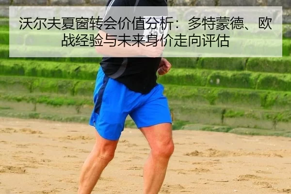 沃尔夫夏窗转会价值分析：多特蒙德、欧战经验与未来身价走向评估